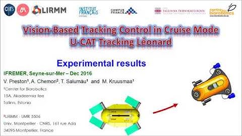 Vision-based tracking control in cruise mode of a biomimetic AUV