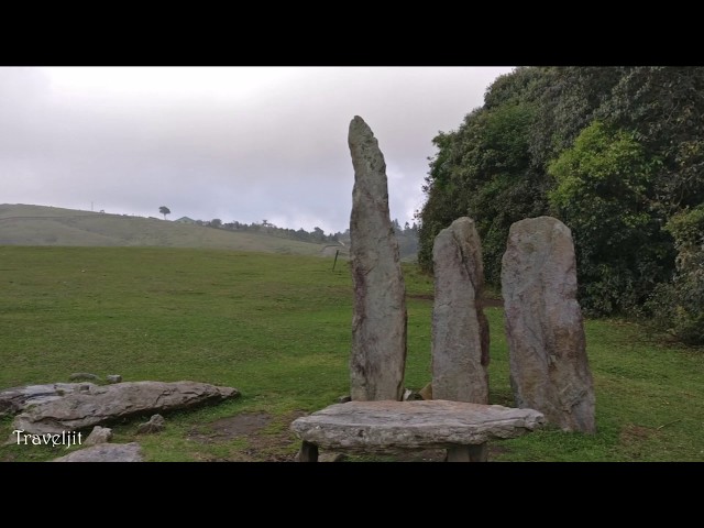 Mawphlang Sacred Forest, Shillong | DestiMap | Destinations On Map