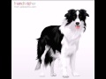 Savannah Explains Border Collies