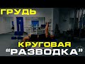 КРУГОВАЯ РАЗВОДКА