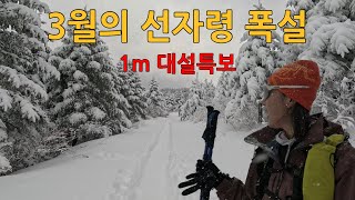 [등산] 강원 선자령/ 3월의 폭설 선자령/ 1m 넘는 대설특보 다음날 눈꽃세상/ 백패킹의 성지