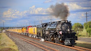 Worlds Largest Steam Locomotive Pulling in to Roseville, CA! ~ Union Pacifics Big Boy 4014! @CentralValleyRailfan8311