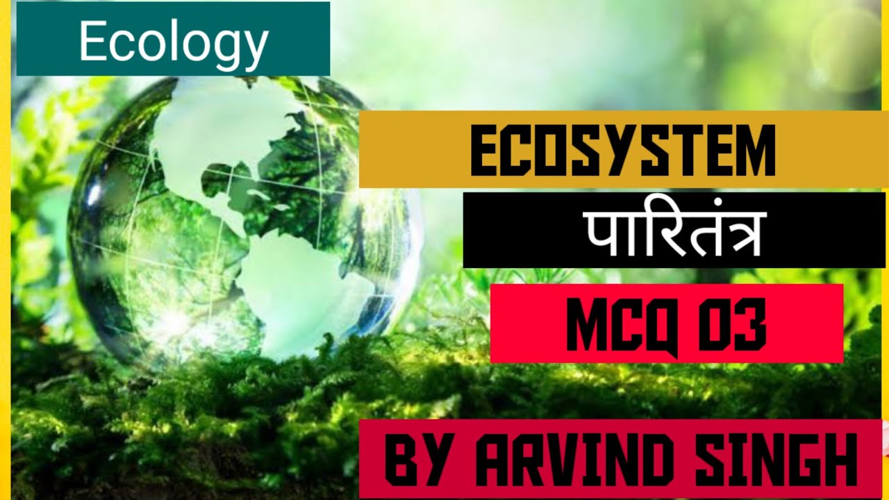 Ecosystem 03 l पारितंत्र l MCQ l Environment l Ecology l Class 12 l NEET BIOLOGY 