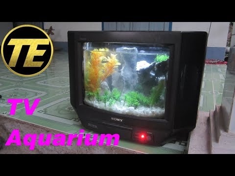 Video: How To Make An Aquarium From An Old TV With Your Own Hands