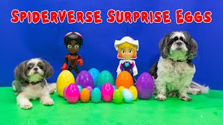 assistant opens spiderman spiderverse surprise eggs with wiggles