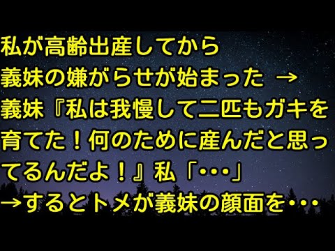 【スカッとする話】私が高齢出産してから義妹の嫌がらせが始まった→義妹『私は我慢して二匹もガキを育てた！何のために産んだと思ってるんだよ！』私「…」→するとトメが義妹の顔面を…