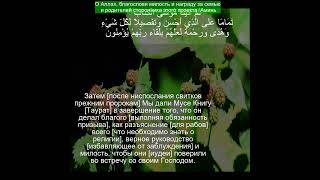 Коран Сура Аль Анам | 6:154 | Чтение Корана с русским переводом | #рамадан2024 #quran