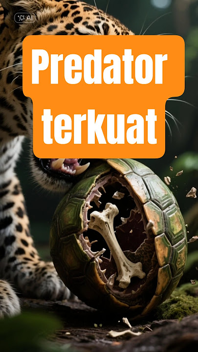 Penguasa Rimba: Siapa Predator Terkuat di Hutan Tropis
