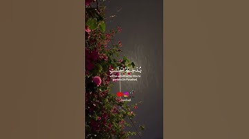 سورة النساء | الآية 13 - 14 للقارئ#ياسر_الدوسري #القرآن_الكريم  #quran #fyp  #foryou #foryoupage