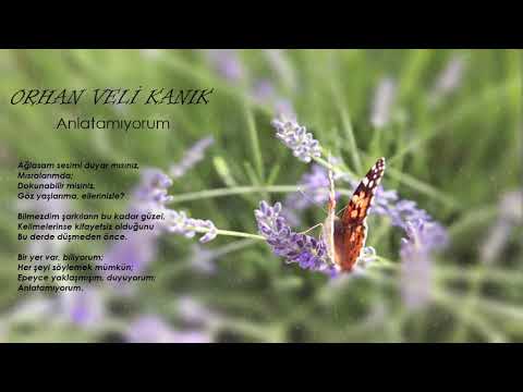 ORHAN VELİ KANIK