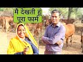 Gir Cow Farm Rajasthan India