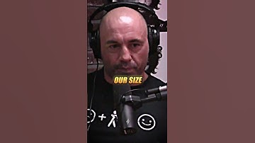Gorillas VS. Chimpanzee’s 😬 ft. Joe Rogan