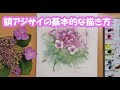 【透明水彩画】額アジサイの基本的な描き方