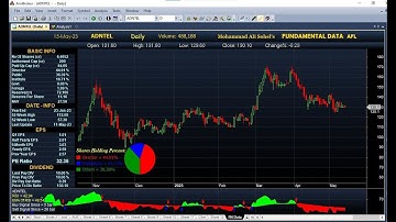 Amibroker Fundamental Data  AFL