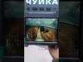 Chuyka Tracks Friendly FPV in Action