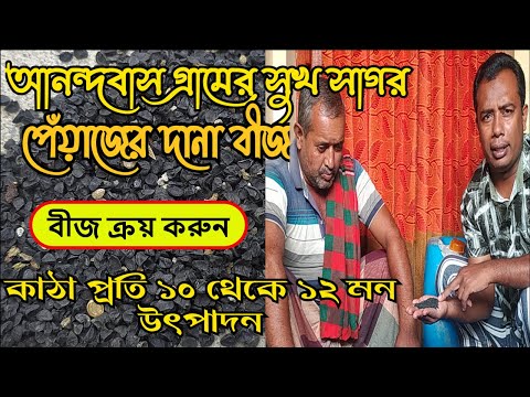 ভিডিও: পেঁয়াজের সুখ