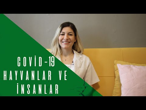 COVİD-19 🐕🐈🐆🐦 (2.BÖLÜM) HAYVANLAR VE İNSANLAR