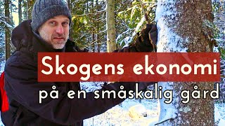 Forest Economy on a SmallScale Farm  Selective Logging with Anders Wilkes