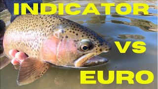 FLY FISHING CHALLENGE! (euro nymphing vs indicator)