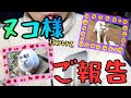 【廃墟の隣に棲む女】 ～ヌコ様について、ご報告があります～#20