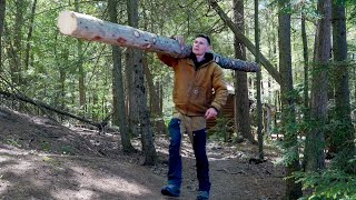 GATHERING LOGS AND RESTORING AN OLD HISTORIC CABIN IN THE CANADIAN WILDERNESS // S2 EP 12