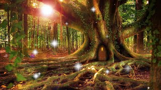 Enchanted Forest✨ Music and Ambience Fairies, Unicorns‍♀ Relaxing Music Sleep, Study, Stress