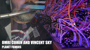 Omri Cohen and Vincent Sky - Planet Fungus