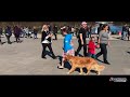 12-Year Old Child Off Leash Heeling | Boarding and Training | Off Leash K9 Training 12-Year Old Child Off Leash Heeling | Boarding and Training | Off Leash K9 Training