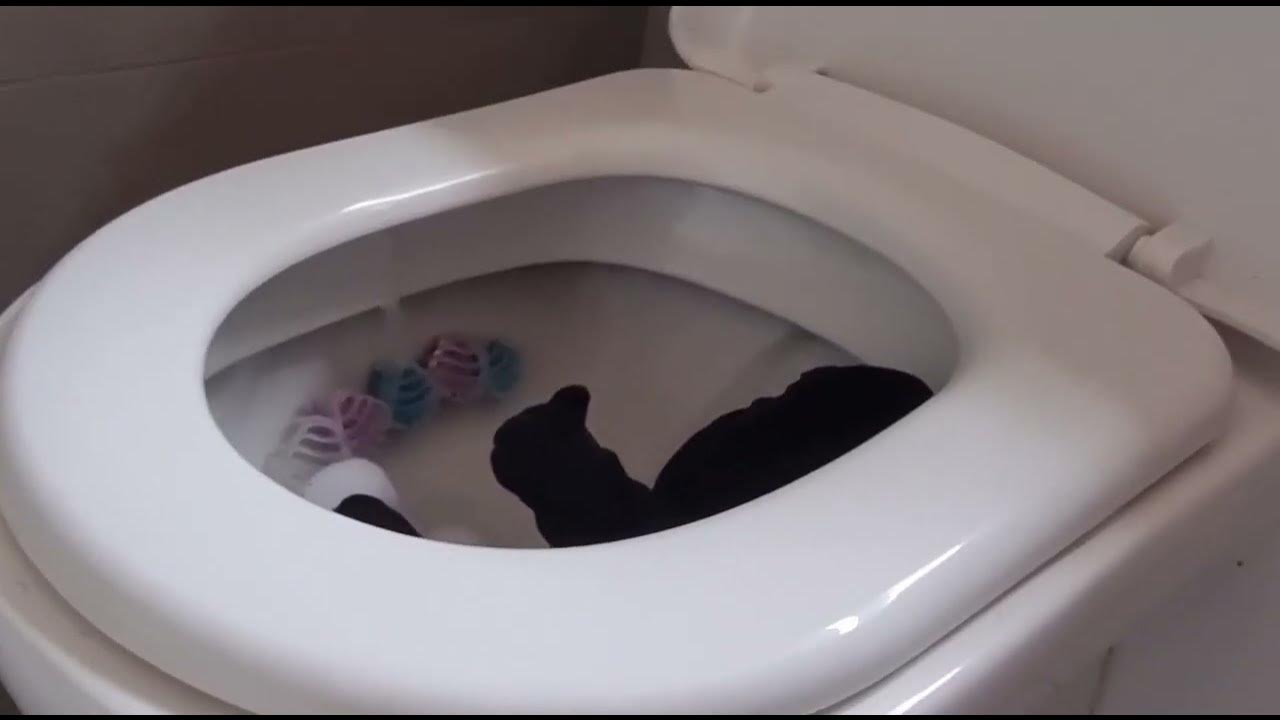 TanqR Plush Gets Flushed…. YouTube