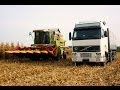 Koszenie Kukurydzy na ziarno Jaszkowo 2013 [Full HD] /Claas Mega 218/ New Holland/ Ursus