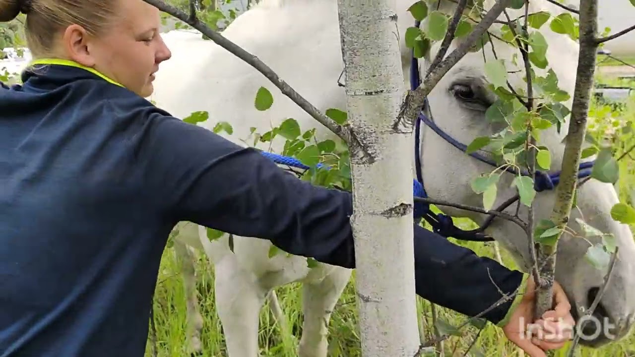 Наша команда на ферме 