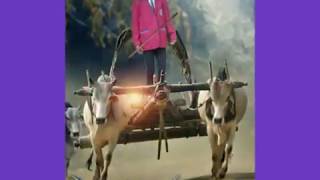 Best photo editing in picsart nature photo editing screenshot 5