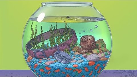 Aesop Rock - Bug Zapper [Music Video]