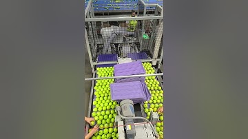 SMTA Two Lane Tray Inserter