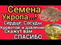 Употребляйте и Оживайте. Бляшек и тромбов НЕТ. Снижает САХАР. Ясный УМ. Крепкий имунитет. До 100лет.