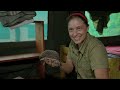 CUTE: These Hedgehogs Are Ready for a Return to the Wild 🦔 Malawi Wildlife | Smithsonian Channel