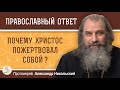 ПОЧЕМУ ХРИСТОС ПОЖЕРТВОВАЛ СОБОЙ ? Протоиерей Александр Никольский