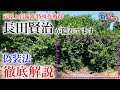 貴方は見つけられるか？ 元陸上自衛隊 特殊部隊員が本気の偽装 ドーランの塗り方 ガチタマTV （田村装備開発）