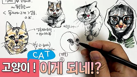 고양이 그리기
