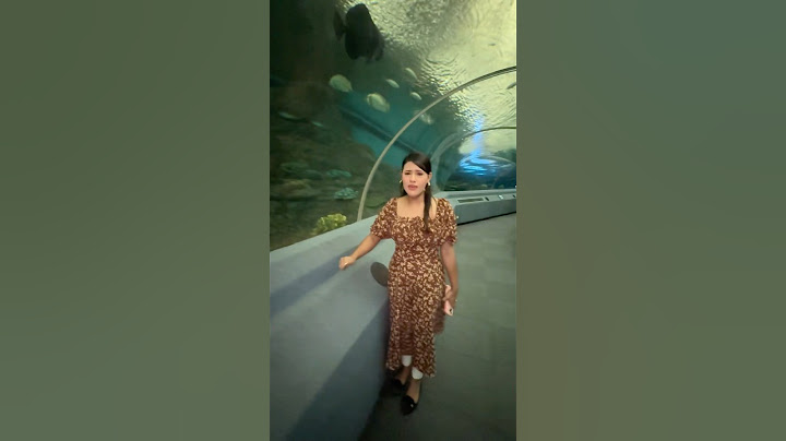 রিতু এখন পানির নিচে 😍🐬 | UnderWater World Thailand 🇹🇭 #shorts