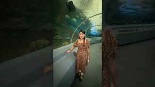 Thumbnail for রিতু এখন পানির নিচে 😍🐬 | UnderWater World Thailand 🇹🇭 #shorts