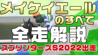 【メイケイエールのすべて】（スプリンターズステークス2022出走）新馬戦から前走までのレースぶりを振り返ってみました