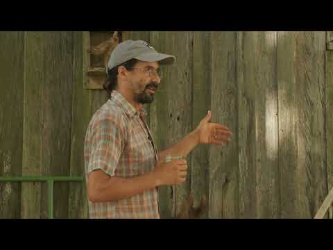 Related Embedded Video Item Thumbnail