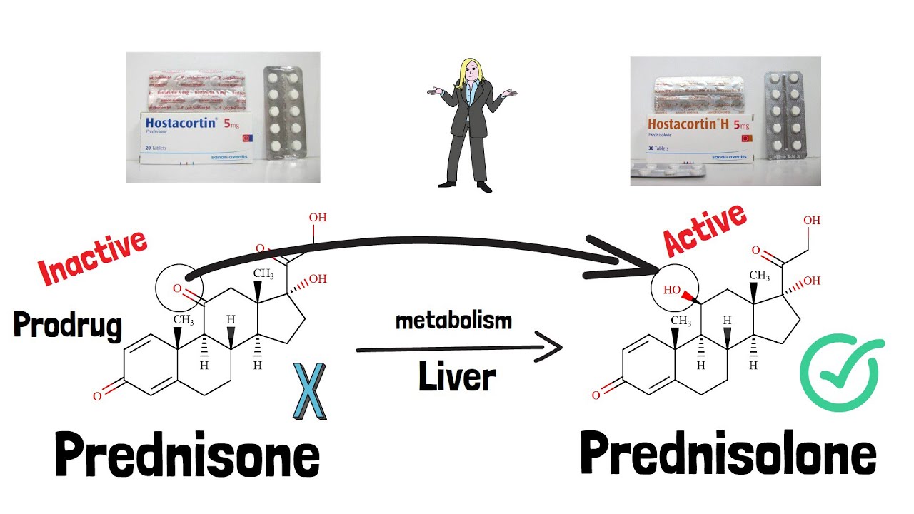Prednisone VS Prednisolone الفرق بين Hostacortin و Hostacortin H