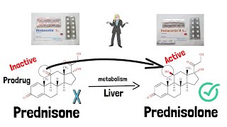 Prednisone VS Prednisolone - الفرق بين Hostacortin و Hostacortin H