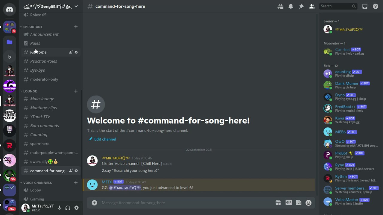 Включить музыку в дискорде через бота. Probot. Probot discord. Pro bot discord. Probot Commands.