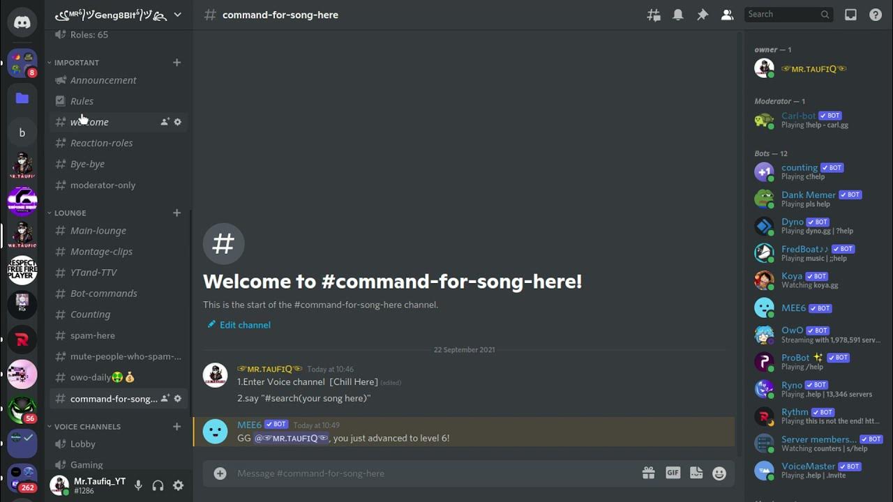 tutorial how to use song command in discord using Probot YouTube