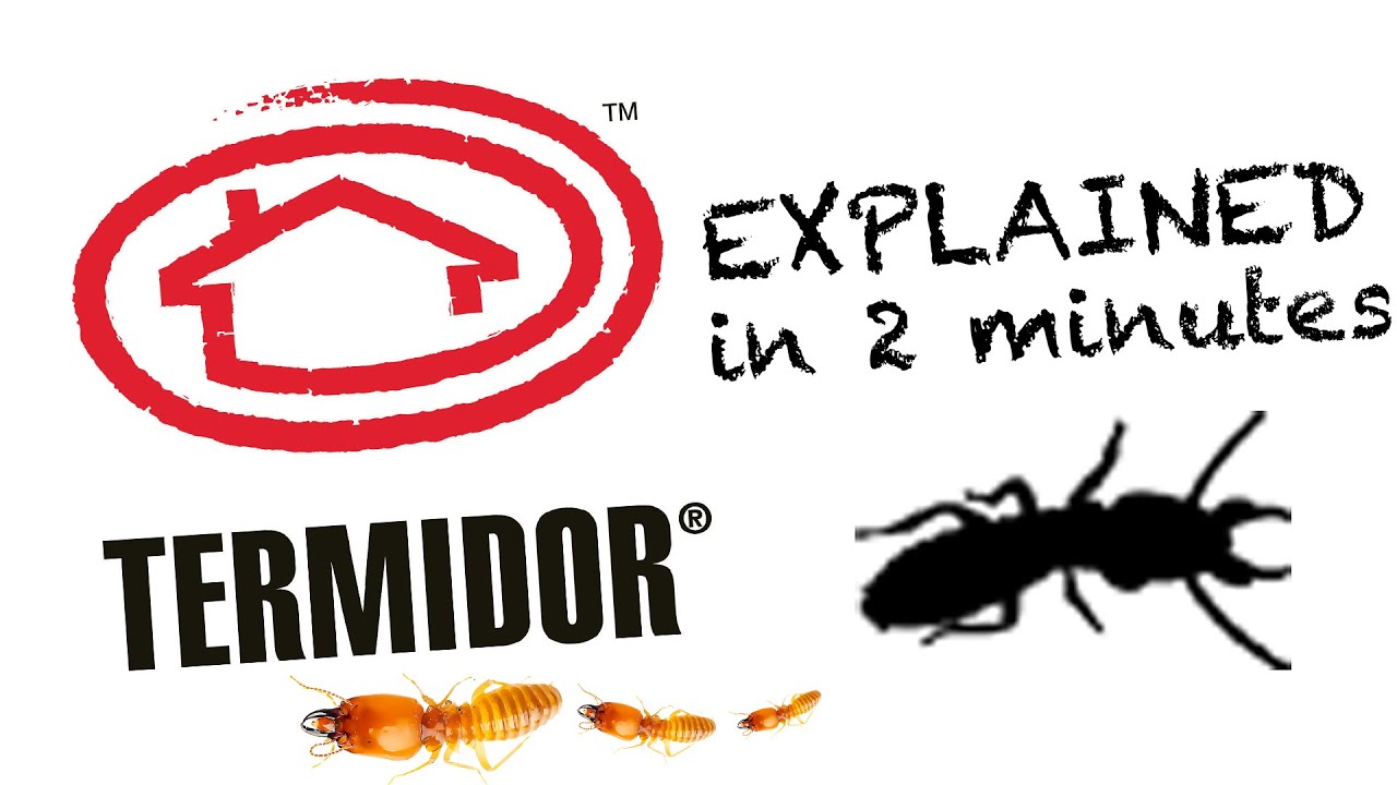 Termidor Explained in 2 Minutes YouTube