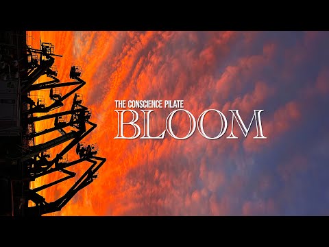 Bloom by The Conscience Pilate