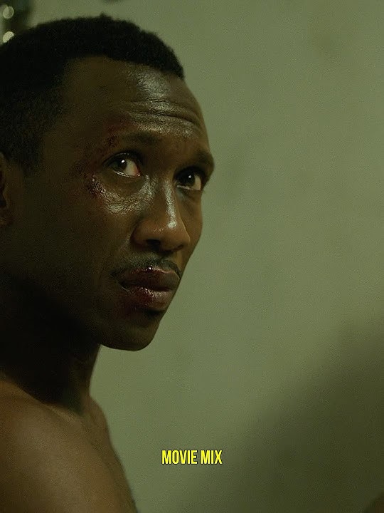 You never see us again | Green Book (2018) #greenbook #movie